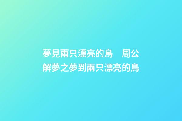夢見兩只漂亮的鳥　周公解夢之夢到兩只漂亮的鳥